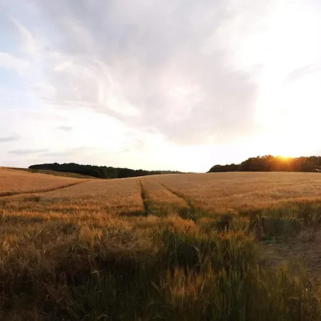 6 Person In Hejls-by Traum Σπίτι διακοπών *
