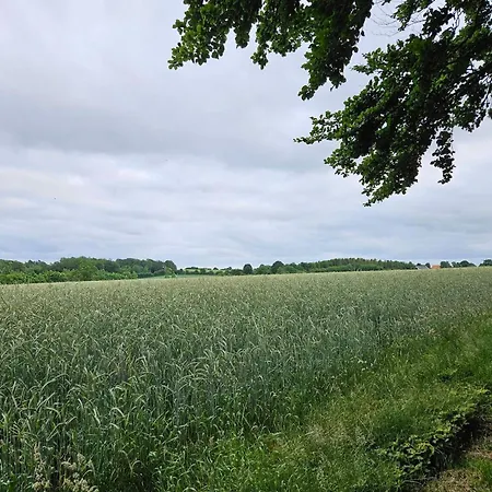 6 Person In Hejls-by Traum * Hejls