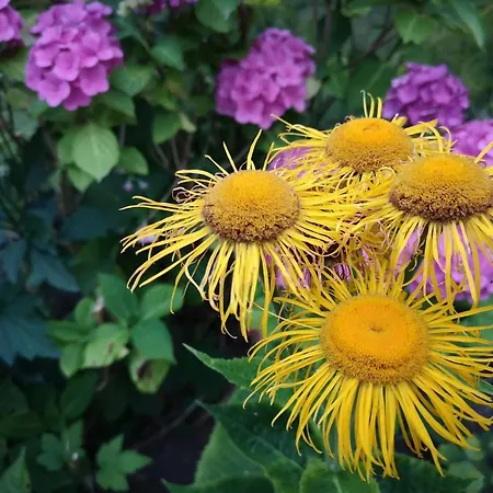 6 Person In Hejls-by Traum *