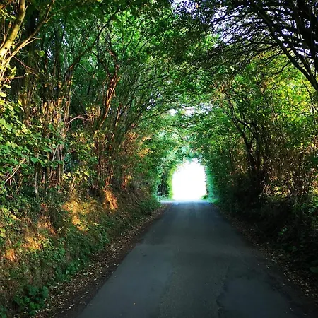 Σπίτι διακοπών 6 Person In Hejls-by Traum *