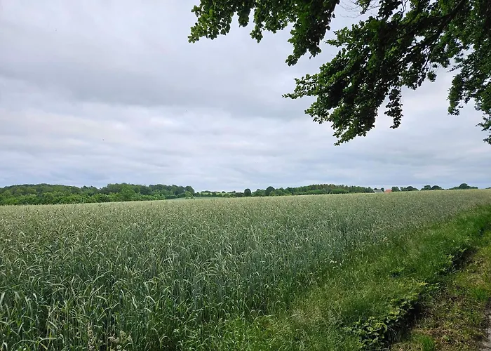 6 Person In Hejls-by Traum * Hejls