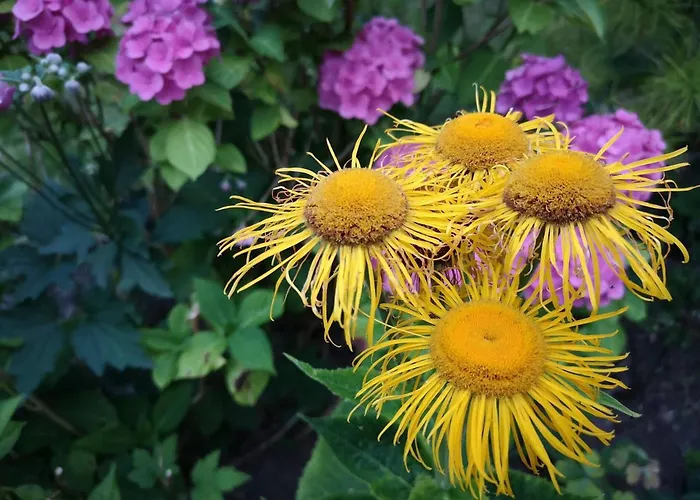 6 Person In Hejls-by Traum *