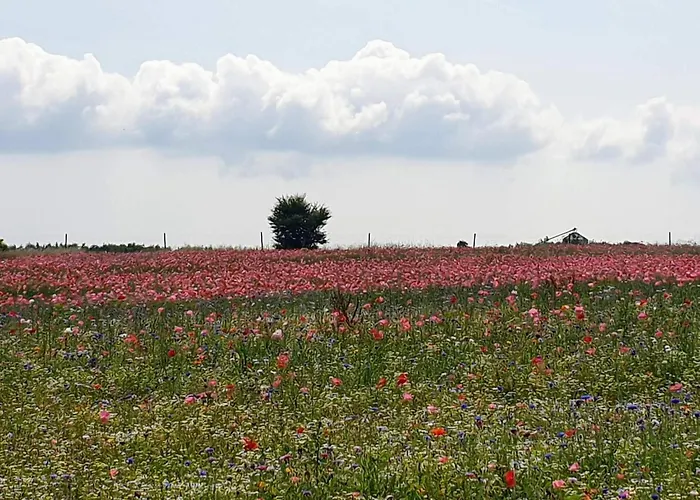 Σπίτι διακοπών 6 Person In Hejls-by Traum Hejls