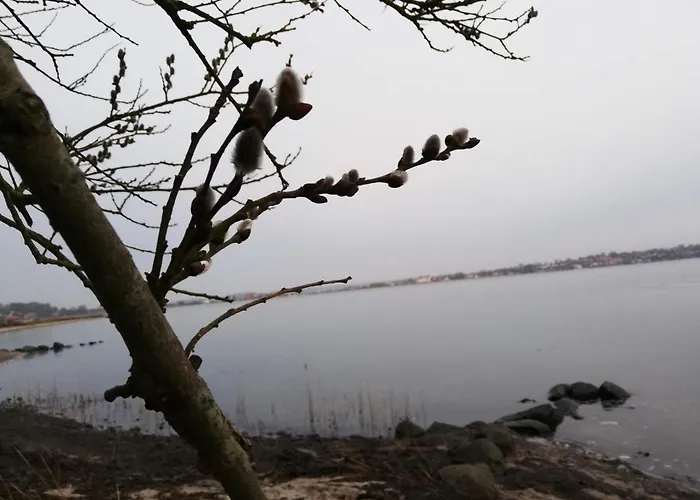 6 Person In Hejls-by Traum Σπίτι διακοπών Hejls